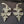 Load image into Gallery viewer, 3 Large Brass Double Acanthus Leaf Drapery Tie Backs 13" x 5 1/4" GS00370