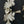 Load image into Gallery viewer, 3 Large Brass Double Acanthus Leaf Drapery Tie Backs 13" x 5 1/4" GS00370