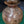 Load image into Gallery viewer, Hand Carved Himachal Water Pot Vessel 11" x 9" GS00389