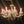 Load image into Gallery viewer, 8 Light Chandelier with Canopy Top Brass Trim & Crystal Flower Prisms GS00426