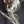 Load image into Gallery viewer, 5 Light Chandelier w/ Canopy Top & Curled Glass Accents  24" x 19" GS00435