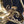 Load image into Gallery viewer, Restored Converted Gas to Electric 4 Light Brass Flush Mount Chandelier GS00447