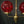 Load image into Gallery viewer, 2 Light Flush Mount Chandelier with Red Coin Dot Globes 22" T x 19" W GS00476