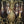 Load image into Gallery viewer, Restored Ornate 8 Light Crystal Prism & Brass Chandelier 21" x 21" GS00479