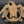 Load image into Gallery viewer, Solid Brass Bald Eagle Door Knocker 6" x 7" GS00573