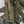 Load image into Gallery viewer, Set of 10 WWII M1941 Bed Roll Equipment Straps GS00672