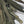 Load image into Gallery viewer, Set of 10 WWII M1941 Bed Roll Equipment Straps GS00672