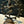 Load image into Gallery viewer, Bronze 6" Shiva Nataraja "Lord of the Dance" Hindu Statue GA20457