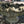Load image into Gallery viewer, Large Concrete Bird Bath Basin GA20348