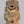 Load image into Gallery viewer, Restored Victorian Ornate Solid Brass Door Knob Backplate 6 3/8" x 2" GS00598