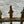 Load image into Gallery viewer, Restored Arch Top Wrought Iron Gates w/ Arrow Finials GA20323