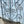 Load image into Gallery viewer, Hand-Wrought Antique Iron Gate GA20437