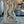 Load image into Gallery viewer, Ornate Concrete Garden Pedestals - 7 Available GA20471