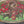 Load image into Gallery viewer, Vintage Tiffany Style Red Poppy Leaded Glass Chandelier 20" x 10" GS00685