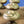 Load image into Gallery viewer, Set of 12 Solid Brass Art Nouveau Furniture/Cabinet Knobs w/ Screws GS00667