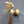 Load image into Gallery viewer, Early 1900s Ornate Bronze CNB Charlotte NC Bank Door Knob & Backplate GS00813