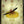 Load image into Gallery viewer, Vintage NuGrape Imitation Grape Flavor Electric Wall Clock GA20358