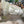 Load image into Gallery viewer, Cast Aluminum 5-Light Post w/ Griffin Arms GS6005