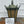 Load image into Gallery viewer, UVA Campus Single Cast Aluminum Lamp Post GS6003