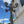 Load image into Gallery viewer, Cast Aluminum Five-Light Globe Post GS6006
