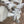 Load image into Gallery viewer, Cast Aluminum 5-Light Post w/ Griffin Arms GS6005