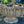Load image into Gallery viewer, Large Concrete Bird Bath Basin GA20348