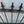 Load image into Gallery viewer, Restored Arch Top Wrought Iron Gates w/ Arrow Finials GA20323