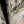 Load image into Gallery viewer, 3-Panel French Doors GA10271
