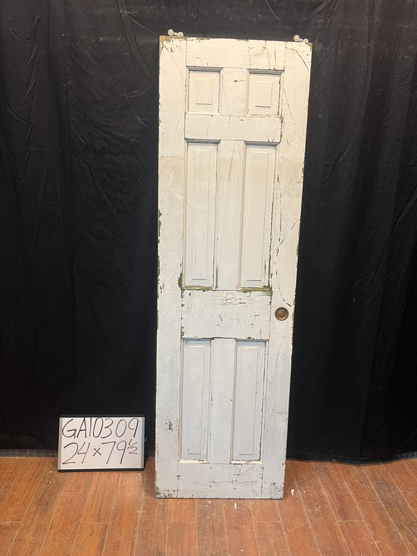 6-Panel Pocket Door GA10309