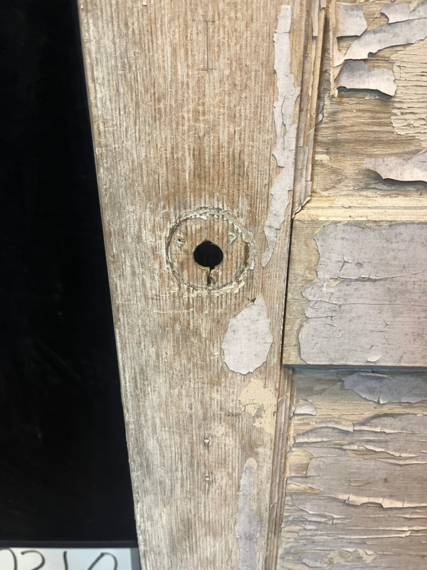 5-Panel Door GA10310