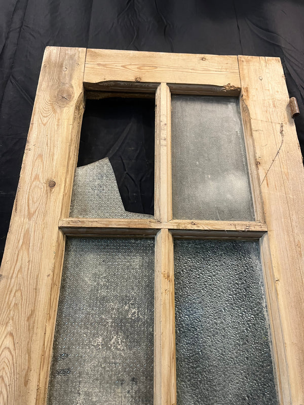 10-Lite 1-Panel Door GA10319