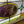 Load image into Gallery viewer, Stained Glass Transom Window GA10334