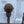 Load image into Gallery viewer, Antique Iron Gate GS20232 - 32 1/4" x 32 1/4" tall