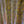Load image into Gallery viewer, Corrugated Root Beer Glass Panels with Chicken Wire 40" x 27 1/2" #GARootbeer