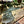 Load image into Gallery viewer, Concrete Ionic Garden Decorations GA20269