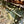 Load image into Gallery viewer, Concrete Ionic Garden Decorations GA20269