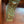 Load image into Gallery viewer, Fireplace Mantel w/ Ionic Caps & Decanthis Relief Corbels GS6047
