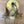 Load image into Gallery viewer, Brass Wall Sconce Set GA20077