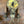 Load image into Gallery viewer, Brass Wall Sconce Set GA20077