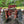 Load image into Gallery viewer, International Cub 140 Tractor in Working Condition GA20129
