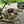 Load image into Gallery viewer, Antique John Deere Tractor - For Parts GA20131