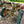 Load image into Gallery viewer, Antique John Deere Tractor - For Parts GA20131