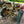 Load image into Gallery viewer, Antique John Deere Tractor - For Parts GA20131