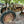 Load image into Gallery viewer, Antique John Deere Tractor - For Parts GA20131