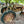 Load image into Gallery viewer, Antique John Deere Tractor - For Parts GA20131