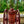 Load image into Gallery viewer, Antique Fire Extinguisher Cart GA20132