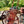 Load image into Gallery viewer, Antique Fire Extinguisher Cart GA20132