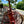 Load image into Gallery viewer, Antique Fire Extinguisher Cart GA20132