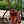 Load image into Gallery viewer, Antique Fire Extinguisher Cart GA20132
