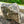 Load image into Gallery viewer, Yard Stone Decoration GA20136
